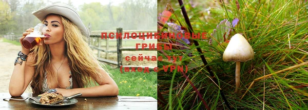 трава Арсеньев