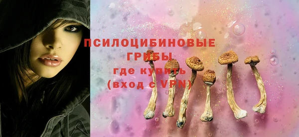 трава Арсеньев